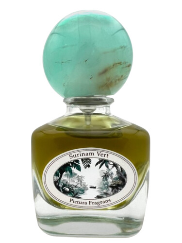 pictura fragrans surinam vert