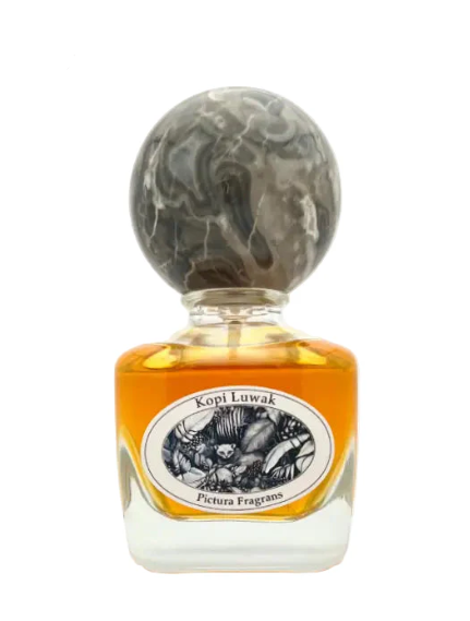 pictura fragrans kopi luwak